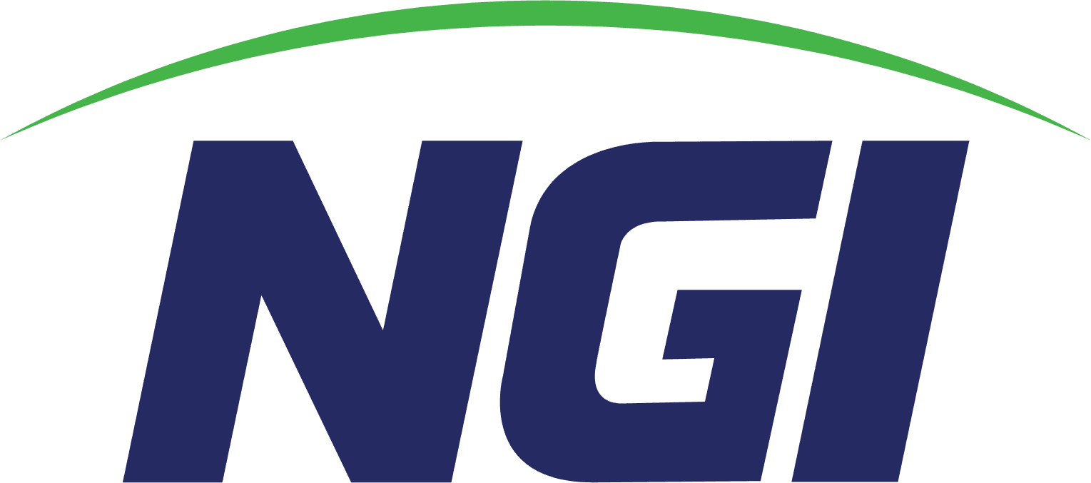NGI logo